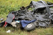 W 2015 roku na drogach powiatu stalowowolskiego doszło do 94 wypadków. Zginęło w nich 11 osób a 110 doznało obrażeń.