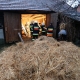 Stalowa Wola: Pożar stodoły z sianem w Turbi