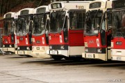 W wyniku konsolidacji MZK z ZMKS na wyposażeniu spółki znalazło się 28 autobusów. Zdecydowana ich większość lata świetności ma już za sobą.