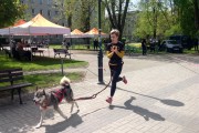 Obywatel pies - pod takim hasłem na skwerze przed Miejskim Domem Kultury w Stalowej Woli odbyła się impreza dla miłośników czworonogów.
