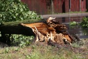 Wiatr najwiekszych zniszczeń dokonał w gminie Zaklikow i Radomyślu nad Sanem.