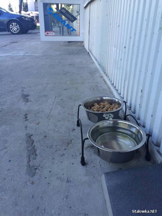 Nie tylko z wodą ale i karmą miski dla zwierząt są wystawione przed sklepem rowerowym TIP-TOP na ulicy Okulickiego.