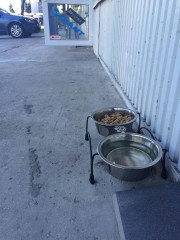 Nie tylko z wodą ale i karmą miski dla zwierząt są wystawione przed sklepem rowerowym TIP-TOP na ulicy Okulickiego.
