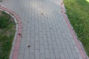 Z redakcją Stalowka.NET skontaktował się mieszkaniec Stalowej Woli, który jest zbulwersowany umorusanym psimi odchodami chodnikiem na ulicy Poniatowskiego pomiędzy sklepem Społem a placem zabaw.