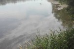 Rzeka San a przy jej brzegach i zakolach zanieczyszczenia. Taki widok zaniepokoił naszego Czytelnika.