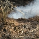 Stalowa Wola: Drugi dzień pożaru lasu, z którym walczy 10 zastępów straży pożarnej