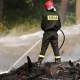 Stalowa Wola: Strażacy walczyli z pożarem lasu