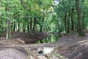 Od kilku dni w parku podworskim w Charzewicach płynie rzeczka. Zasilana jest wodą z kanału deszczowego nieopodal kamiennej górki znajdującej się w rogu parku. Charakterystyczny element dawnego parku Lubomirskich można zobaczyć na własne oczy.