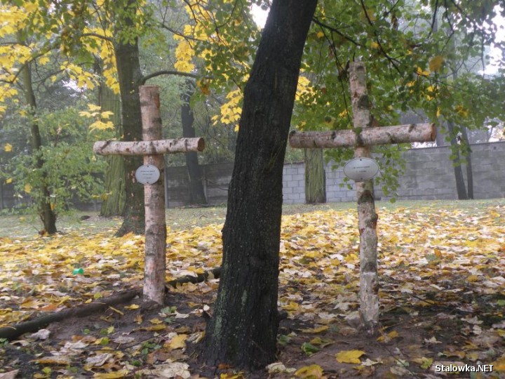 Fundacja Przywróćmy Pamięć próbuje odtworzyć Cmentarz Wojenny w Rozwadowie.