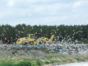 Zgodnie z decyzją Urzędu Marszałkowskiego, Miejski Zakład Komunalny zamknął z końcem września bieżącego roku drugą nieckę na odpady na stalowowolskim składowisku. Do dyspozycji mieszkańców pozostaje trzecia, najmniejsza i ostatnia kwatera.