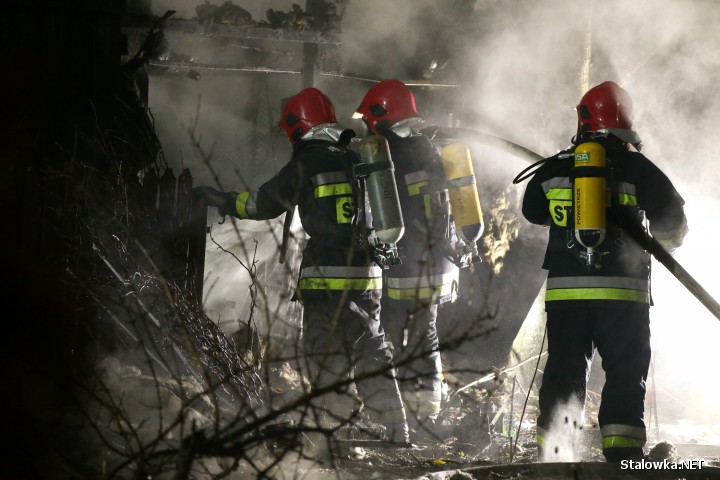 Do pożaru doszło na ulicy Janusza Kusocińskiego na osiedlu Piaski w Stalowej Woli.