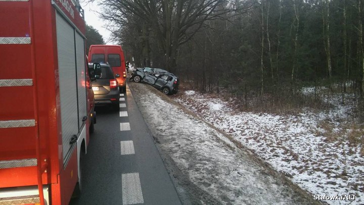 Do wypadku doszło około godziny 14:45 na drodze krajowej nr 79 w miejscowości Bożowka w gminie Magnuszew.