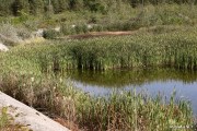 W marcu rozpoczną się prace związane z rekultywacją stawów osadowych. Do maja 2018 roku będzie trwało unieszkodliwianie zawartości sześciu zbiorników wodnych zlokalizowanych na byłych terenach Huty Stalowa Wola.