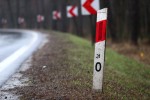 Do wypadku doszło na Drodze Wojewódzkiej nr 871 Stalowa Wola - Tarnobrzeg. W momencie zdarzenia jezdnia była mokra i padał deszcz.
