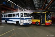 Autosan Sp. z o.o. z Sanoka, którego współudziałowcem jest Huta Stalowa Wola wyprodukuje dla wojska 28 autobusów pasażerskich międzymiastowych. Wartość kontraktu to 22 miliony złotych. Podkarpacka spółka w przetargu konkurowała z firmą MAN Truck & Bus Polska.