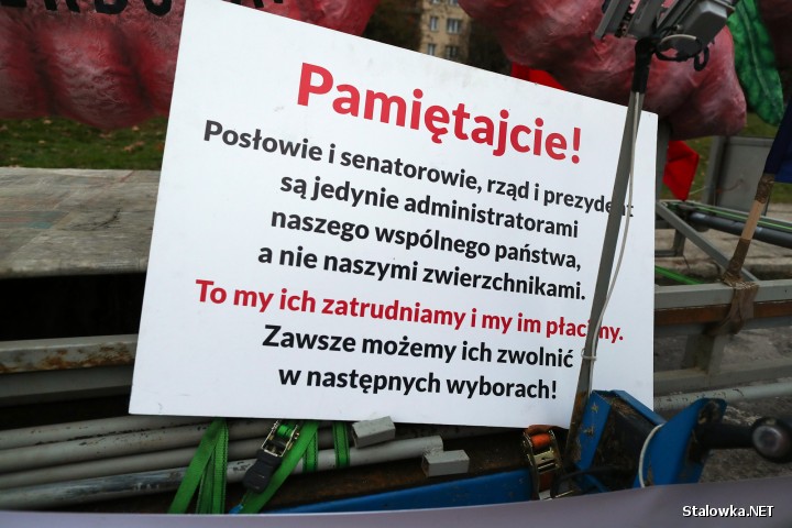 Na placu przed dworcem PKS w Stalowej Woli stanęła sześciometrowa platforma. Instalacja Liść demokracji jeździ po Polsce od 4 listopada 2017 roku w ramach akcji Gąsienica Tour.