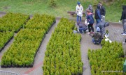 W kwietniu minionego roku za 21 ton makulatury przyniesionych od mieszkańców, Starostwo Powiatowe wydało 7 tysięcy sadzonek.