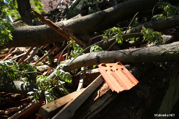 Potężna nawałnica jaka przeszła 31 lipca nad Stalową Wolą uszkodziła znajdujący się w parku drzewostan oraz zabytkowe obiekty.