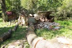 Potężna nawałnica jaka przeszła 31 lipca nad Stalową Wolą uszkodziła znajdujący się w parku drzewostan oraz zabytkowe obiekty.