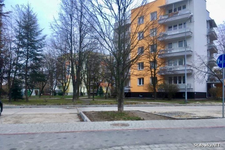 Z redakcją Stalowka.NET skontaktowali się mieszkańcy ulicy Poniatowskiego w Stalowej Woli. Proszą o dopilnowanie aby władze miasta, zgodnie z niegdyś daną obietnicą wybudowali ciąg dla pieszych w stronę ogrodów działkowych.