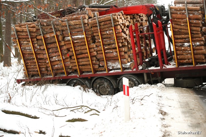 Do zdarzenia doszło za granicami Stalowej Woli. Ciężarówka z drewnem zablokowała drogę.