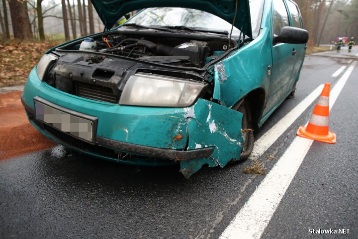 Ranny 20-letni kierowca z podejrzeniem skręcenia kręgosłupa trafił do szpitala w Stalowej Woli.