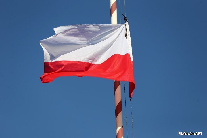 Dla masztu jaki znajduje się na wyspie na skrzyżowaniu ulic KEN i Al. Jana Pawła II w Stalowej Woli, wielkość flagi nie powinna przekraczać 3,5x2,3 metra. Stalowowolska biało-czerwona ma wymiary 2x3 metry.