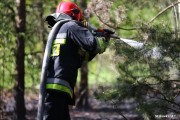 Spaleniu uległy dwa hektary poszycia leśnego.