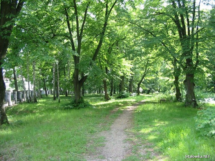 Zgodnie z zapowiedziami wójta Bojanowa Sławomira Serafina, do 30 kwietnia 2020 roku potrwa adaptacja zabytkowego parku w Bojanowie.