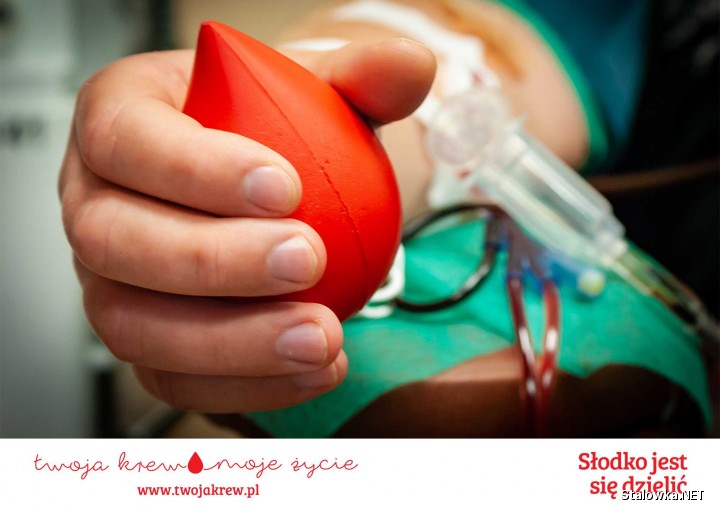 Stalowowolski klub Honorowych Dawców Krwi jest największym w Polsce, skupia około 800 osób, którzy czynnie oddają krew.