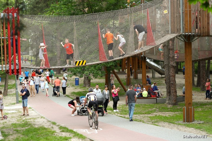 Na wzniesieniu w Parku Miejskim w Stalowej Woli pojawią się elementy ograniczające prędkość. Ma to związek z bliskim sąsiedztwem parku linowego i przebiegającymi przez ciąg pieszo-rowerowy dziećmi.
