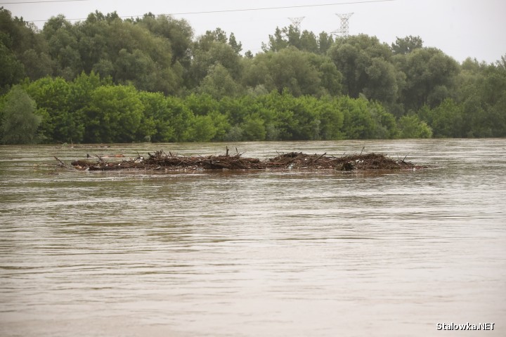 Podtopione błonia w Stalowej Woli przez rzekę San.