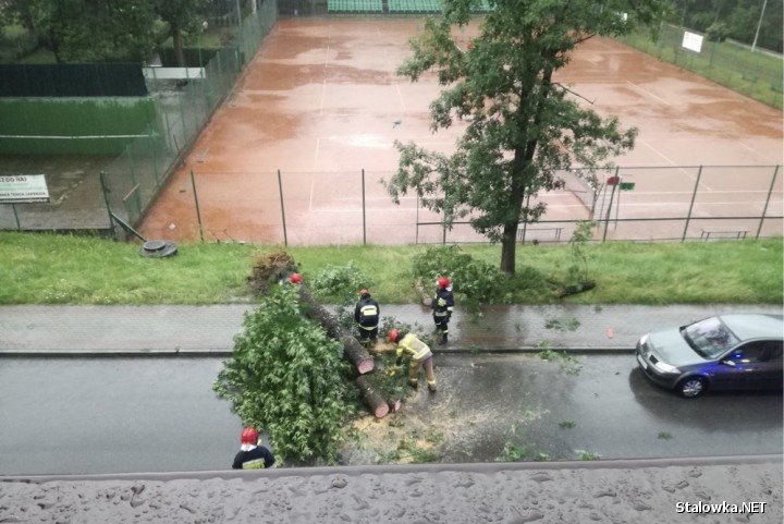 Na ulicy Skoczyńskiego drzewo runęło na ulicę, blokując przejazd.