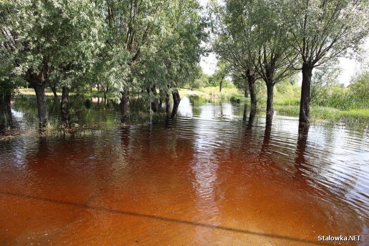 Zanim woda z zalanych terenów zejdzie, mieszkańcy mają problem aby dostać się do swoich domów, drogi, mosty, boiska.