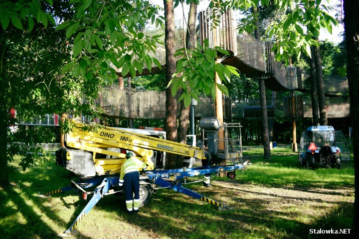 W Parku Miejskim w Stalowej Woli prowadzone są prace polegające na przycince uchych i niebezpiecznie zwisających gałęzi drzew.