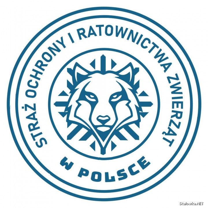 W Stalowej Woli od kilku tygodni funkcjonuje Inspektorat Straży Ochrony i Ratownictwa Zwierząt w Polsce.