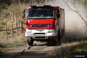 Przy drodze pożarowej nr 12 pomiędzy Stalową Wolą a Jamnicą doszło do pożaru lasu.