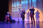 Fiesta Harmonica Festival to eksperymentalny projekt artystyczny oparty na pomyśle: dźwięk - ruch - obraz.