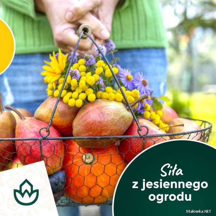 Jesienią nie powinniśmy rezygnować ze świeżych warzyw i owoców, będących źródłem naturalnych witamin wzmacniających odporność organizmu.
