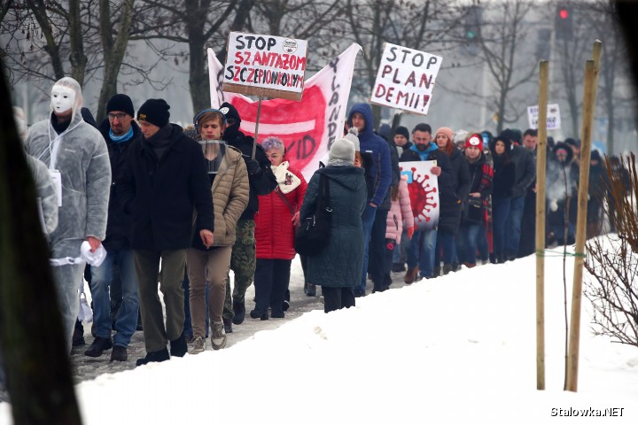Marsz o Wolność i Marsz Niewolników w Stalowej Woli.