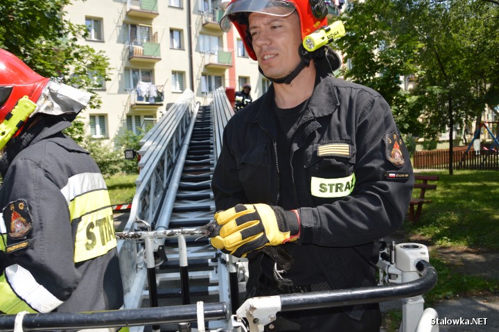 Na Siedlanowskiego strażacy interweniowali do uwięzionego między gałęziami ptaka.