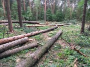 Zamianę gruntów z Lasami Państwowymi umożliwiła podpisana 28 sierpnia przez prezydenta RP Andrzeja Dudę ustawa o szczególnych rozwiązaniach związanych ze specjalnym przeznaczeniem gruntów leśnych.