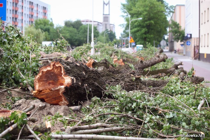 Radni z Komisji Skarg, Wniosków i Petycji w Radzie Miasta przegłosowali zatwierdzenie skargi jakie złożyło stowarzyszenie Nasze Miasto w zakresie nadmiernego wykorzystywania zezwoleń na usunięcie drzew.