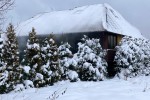 Pożar domu w Agatówce. Dwie osoby trafiły do szpitala.