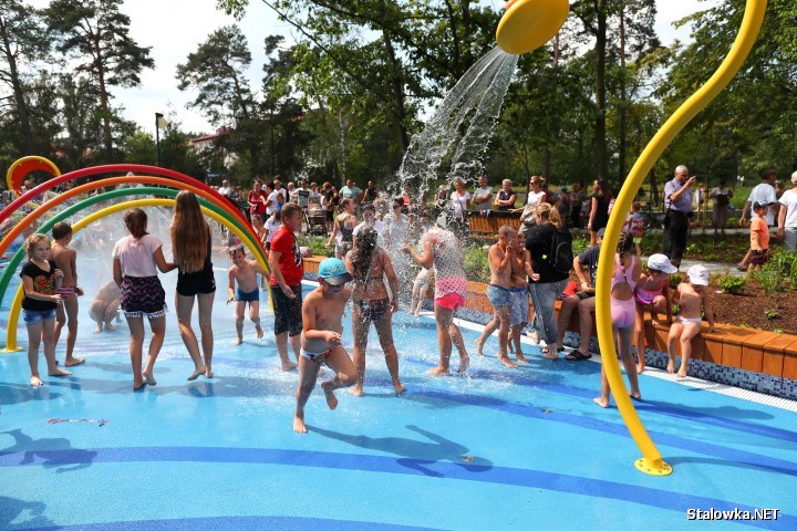 Milion złotych może kosztować zaplanowana na przyszły rok modernizacja wodnego placu zabaw w Parku Miejski imienia Kazimierza Pilata w Stalowej Woli.