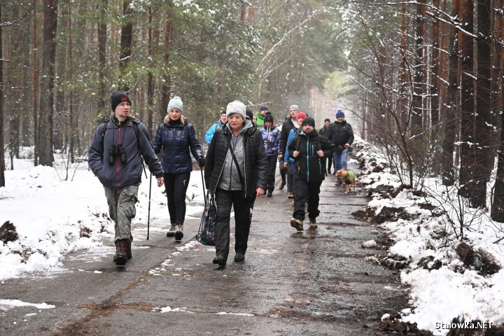 Z dużym zainteresowaniem spotkał się niedzielny rajd pieszy przez tereny Puszczy Sandomierskiej, zorganizowany przez Miejski Dom Kultury w Stalowej Woli.