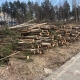 Stalowa Wola: Dlaczego wycinają drzewa na Tołwińskiego?