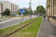 Ulica Popiełuszki w czerwcu 2022 roku w Stalowej Woli przeszła gruntowny remont, niestety kosztem zieleni. Z krajobrazu zniknęło między innymi kilkanaście topoli.
