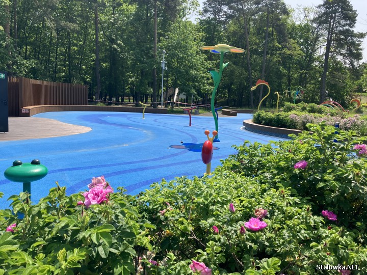 1 czerwca Miejski Ośrodek Sportu i Rekreacji w Stalowej Woli zaprasza na Dzień Dziecka. Tego dnia nastąpi otwarcie wodnego placu zabaw w Parku Miejskim imienia Kazimierza Pilata.