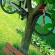 Stalowa Wola: Rower na drzewie? Takie rzeczy (nie)tylko w Stalowej Woli!